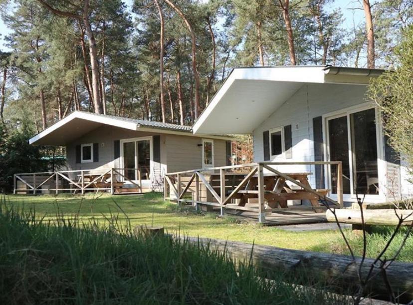 Camping Boslodge Xl